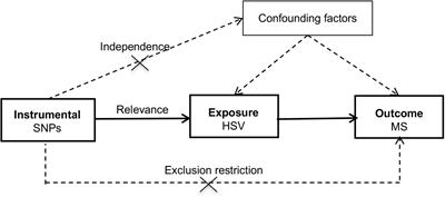 Mendelian Randomization Analysis Suggests No Associations of Herpes Simplex Virus Infections With Multiple Sclerosis